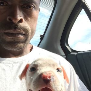 Meet your Posher, Tommy